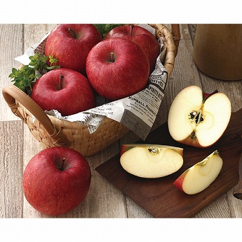 qrkMZ Tӂ (SF-50W)y͂ԁF11{`z